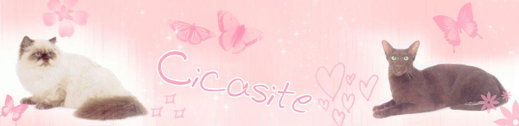 cicasite